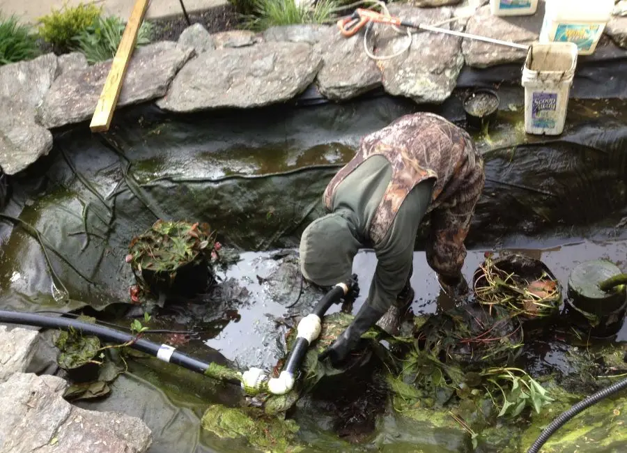 Koi Pond Cleaning (1)
